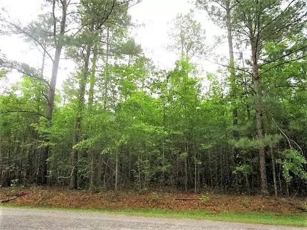 Elloree, SC 29047,Lot 5 Poplar Creek Dr