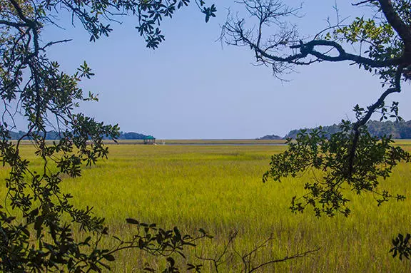 8707 Middleton Point Ln, Edisto Island, SC 29438