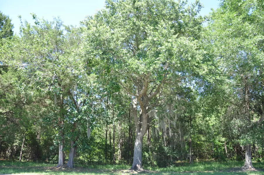 0 China Back Ln, Meggett, SC 29449