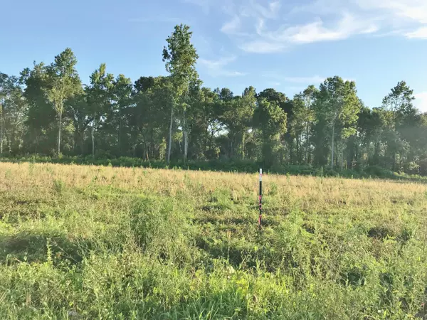 Lot 3 Coach Rd, Holly Hill, SC 29059