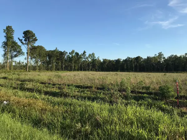 Lot 6 Coach Rd, Holly Hill, SC 29059