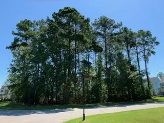 2875 River Vista Way, Mount Pleasant, SC 29466