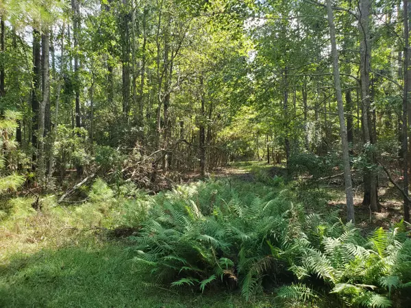 Lot 30-B Admiral Blake Ln, Wadmalaw Island, SC 29487