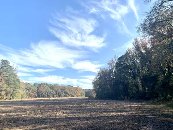 1 Miles Rd, Cope, SC 29038