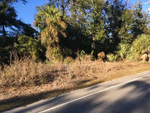 705 Jungle Rd, Edisto Beach, SC 29438