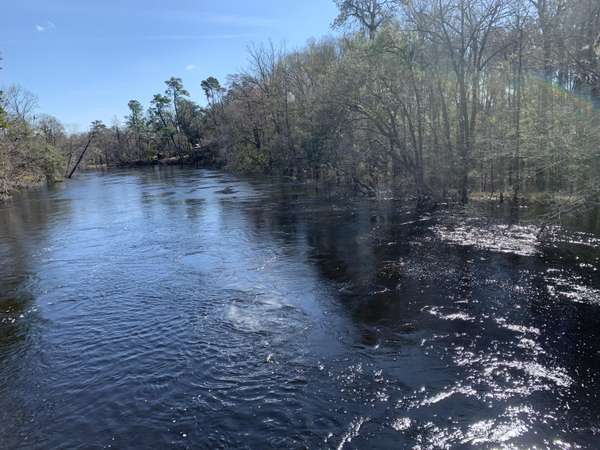 0 Serenity, Walterboro, SC 29488