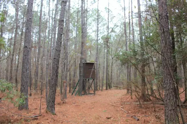 Saint Stephen, SC 29479,0 Heaven Drive