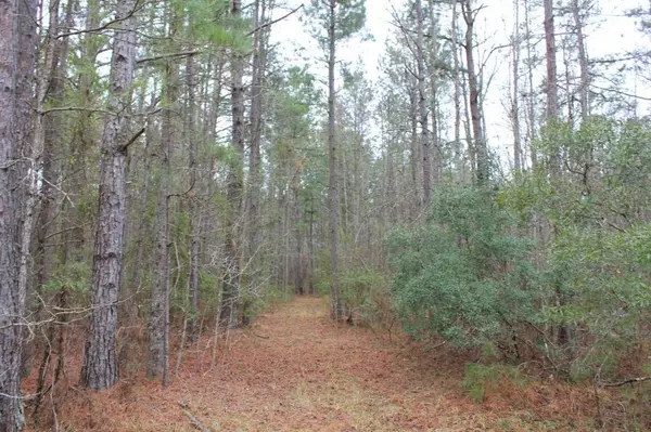 Saint Stephen, SC 29479,0 Heaven Drive