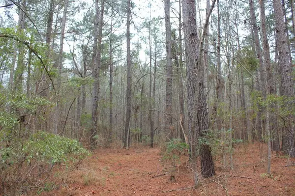 Saint Stephen, SC 29479,0 Heaven Drive