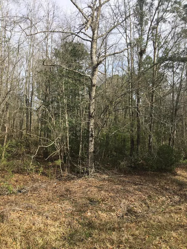 Walterboro, SC 29488,0 Cane Branch Rd