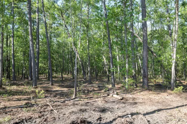 Awendaw, SC 29429,Lot 5 White Rd