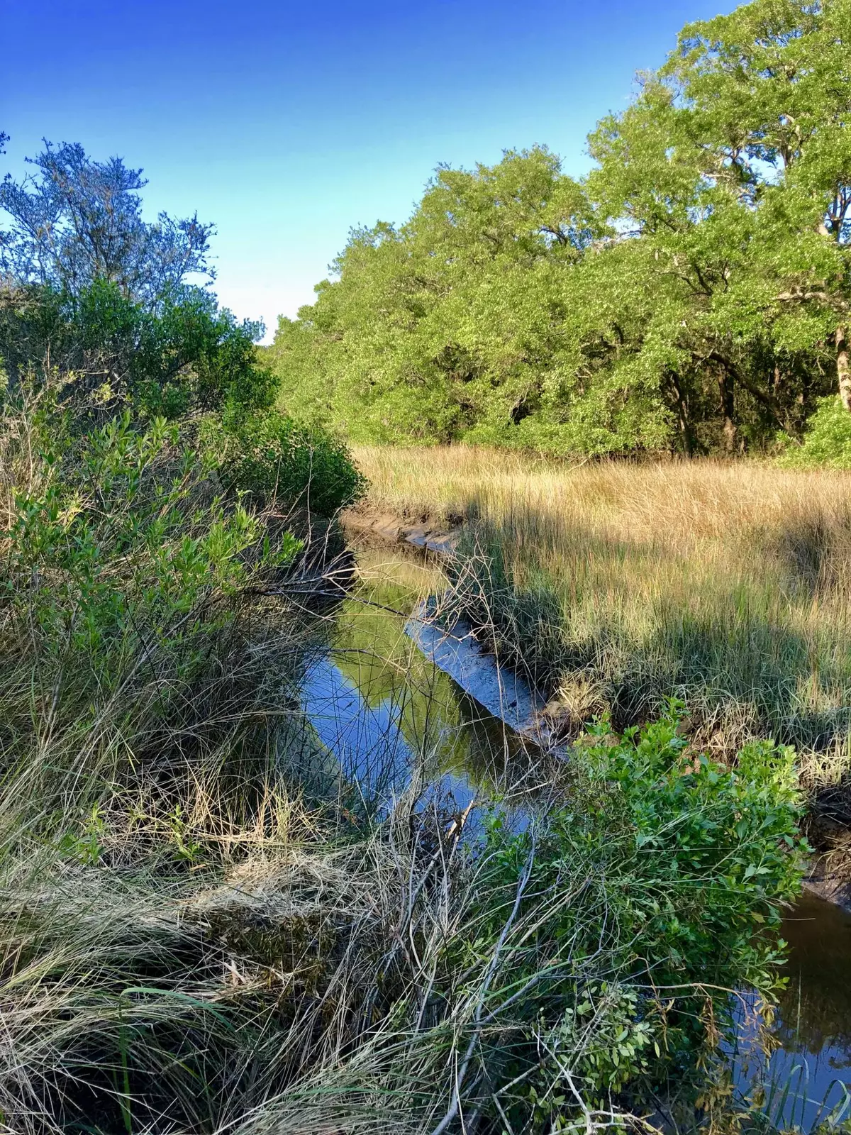 Green Pond, SC 29446,15014 Bennetts Point Rd