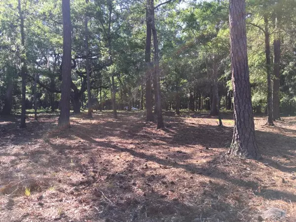 Edisto Island, SC 29438,Lot 7 Chaplin Garden Ln