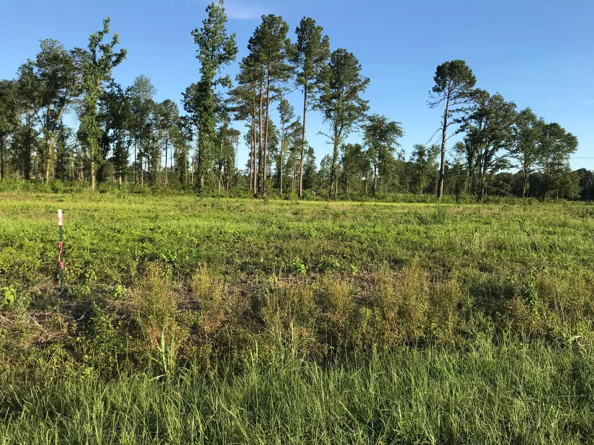 Holly Hill, SC 29059,Lot 1 Coach Rd