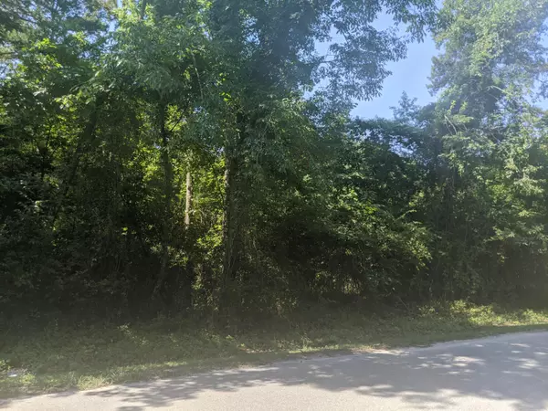 Eutawville, SC 29048,Lot 17 Canvas Back Dr