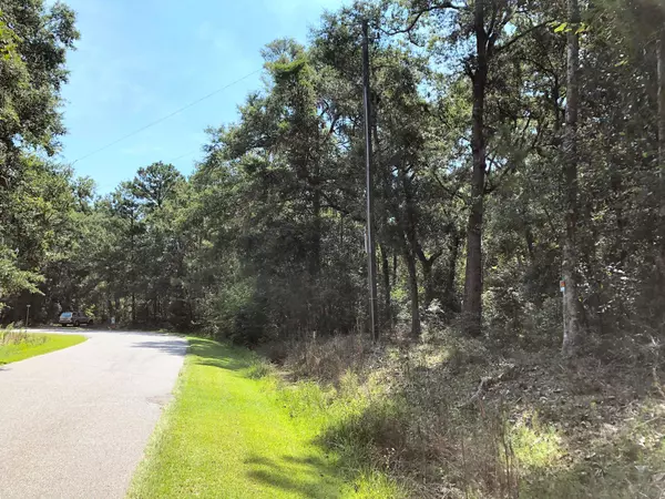 8167 Chisolm Plantation Rd, Edisto Island, SC 29438