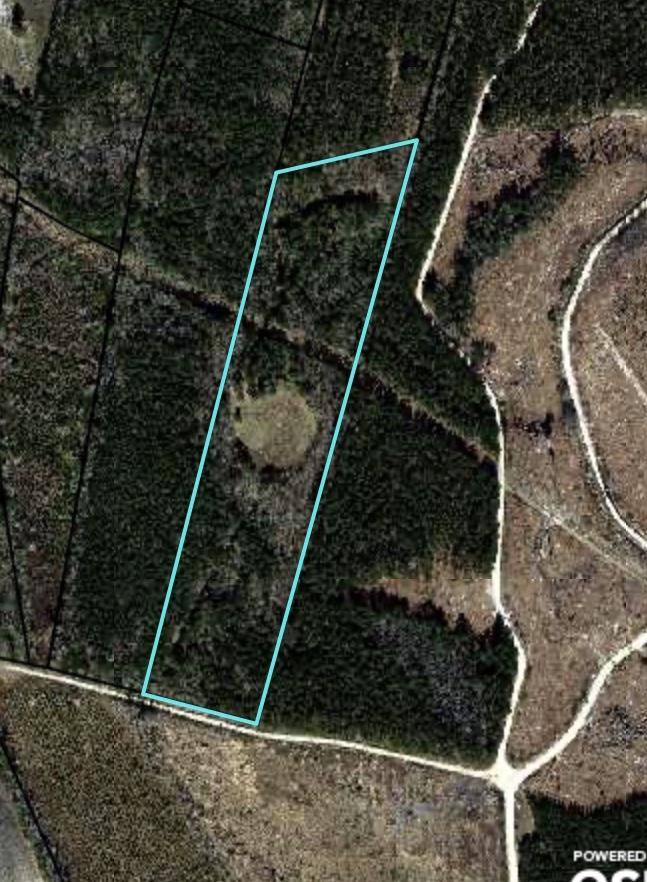 0 Old Possum Corner Rd, Walterboro, SC 29488