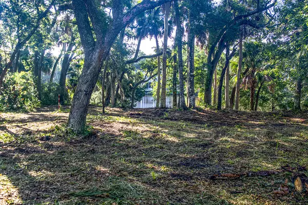 Edisto Island, SC 29438,714 Jungle Rd