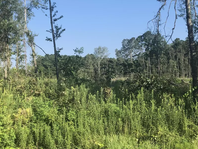 0 Rhode Dr, Cottageville, SC 29435