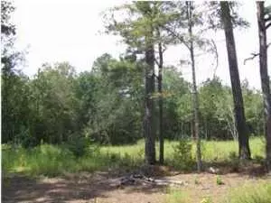 0 Spelltown Rd, Cottageville, SC 29435