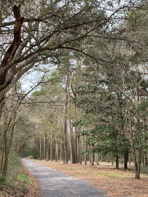 Johns Island, SC 29455,4056 Pine Creek Rd
