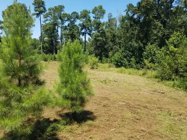 Holly Hill, SC 29059,0 Camden Rd. And 176 Corner