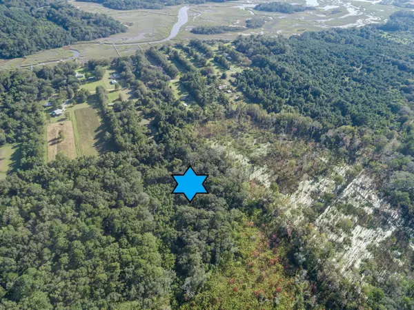 0000 Bentz Rd, Wadmalaw Island, SC 29487