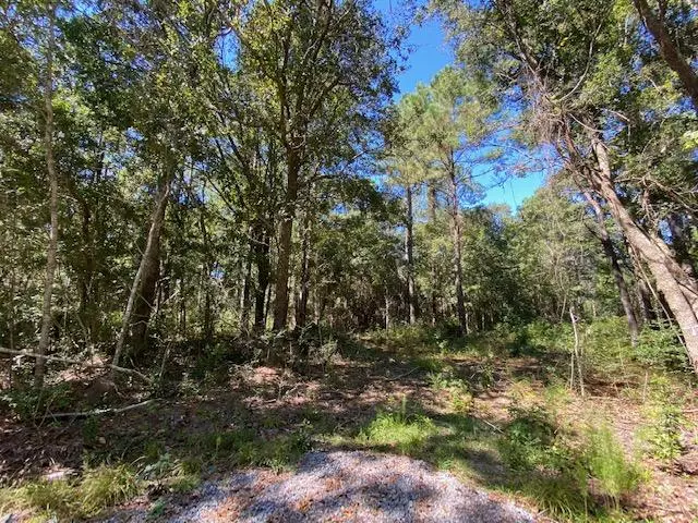 Mcclellanville, SC 29458,515 Mouzons Bluff