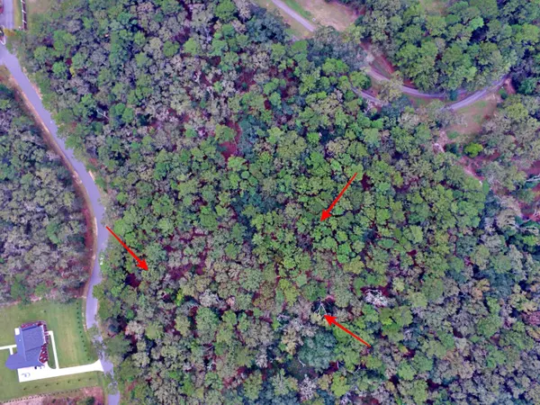 Ravenel, SC 29470,0 Pepper Grass Trl