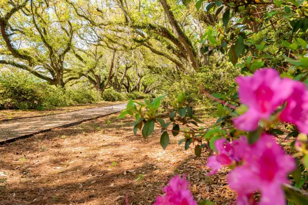 Charleston, SC 29407,1087 Avenue Of Oaks