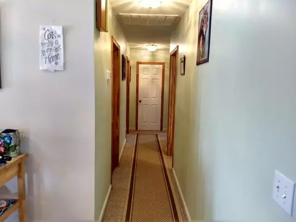 Manning, SC 29102,1858 Camp Shelor Dr