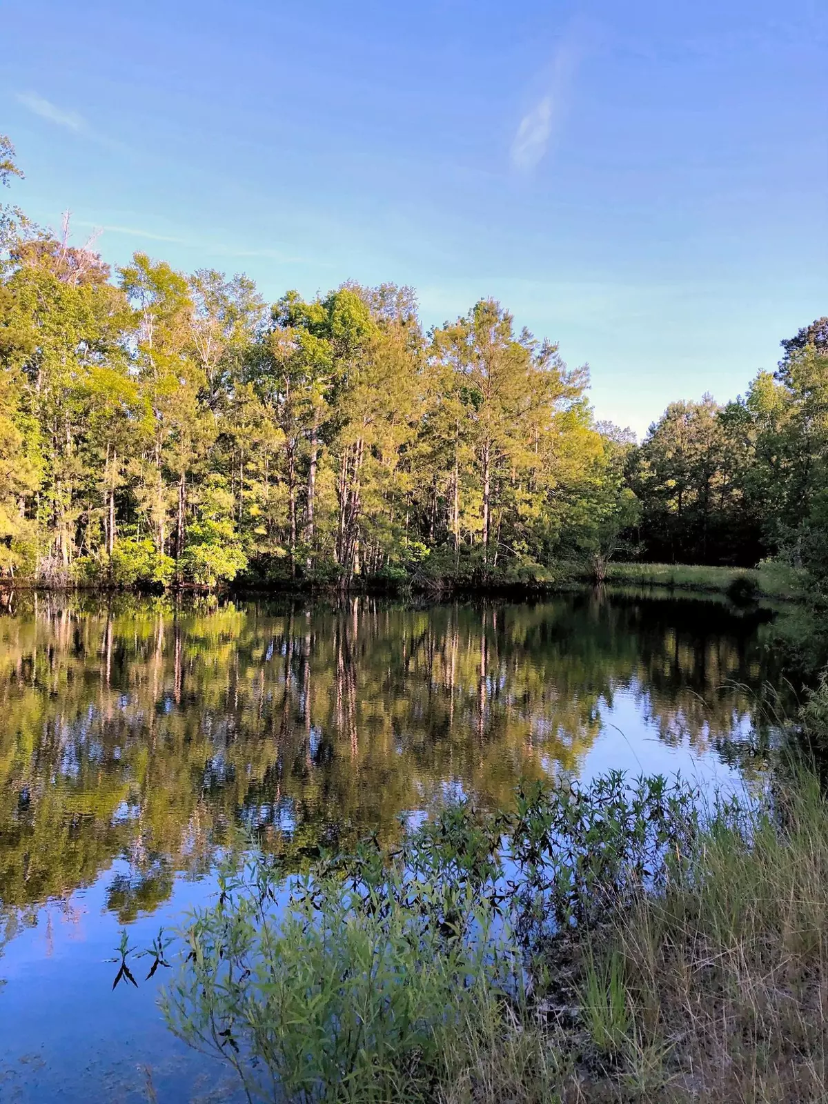 Johns Island, SC 29455,000 Bohicket Rd