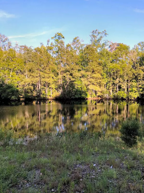 Johns Island, SC 29455,000 Bohicket Rd