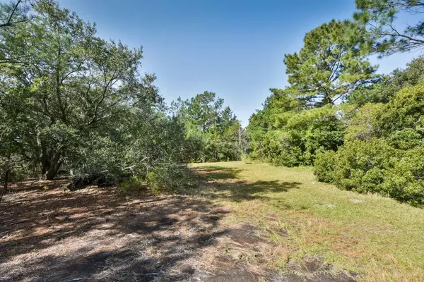 Wadmalaw Island, SC 29487,1166 Harts Bluff Rd