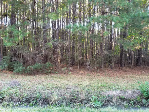 Moncks Corner, SC 29461,000 Cane Gully Rd