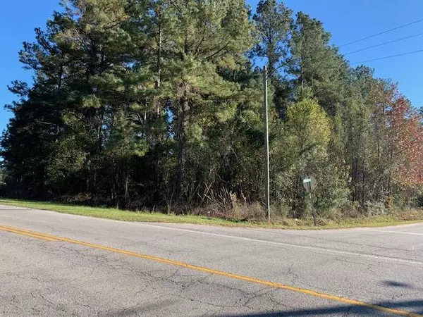 Holly Hill, SC 29059,115 Curve Inn Rd