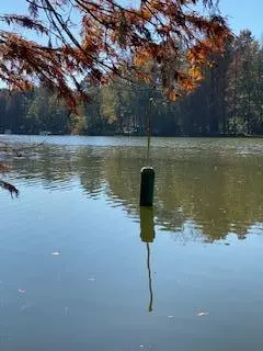 Eutawville, SC 29048,0 St Julian Dr