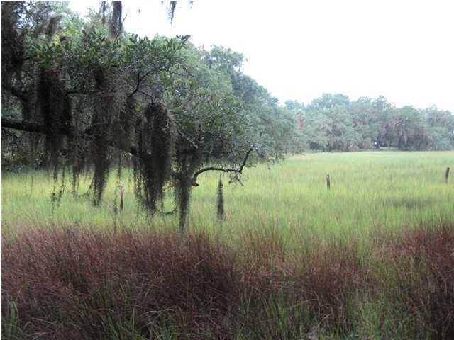 2355 S Rockland Ave, Wadmalaw Island, SC 29487