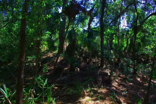 Seabrook Island, SC 29455,2571 High Hammock Rd