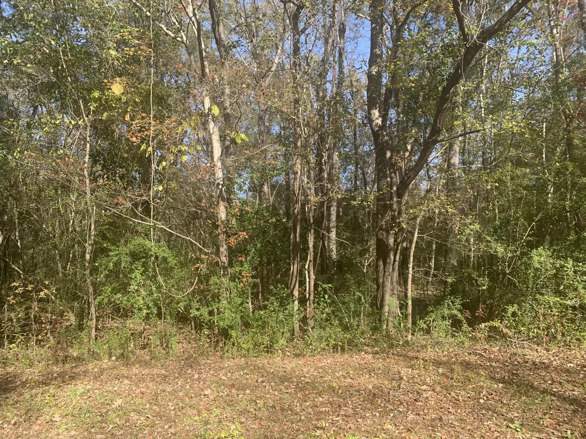 Summerville, SC 29483,Lot 21 Mary Ellie Dr