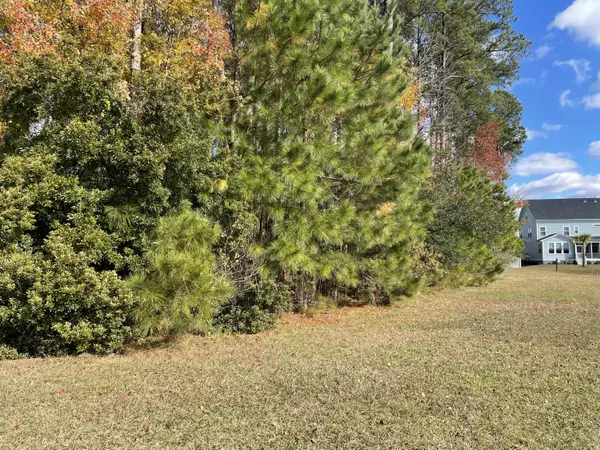 Mount Pleasant, SC 29466,2859 River Vista Way