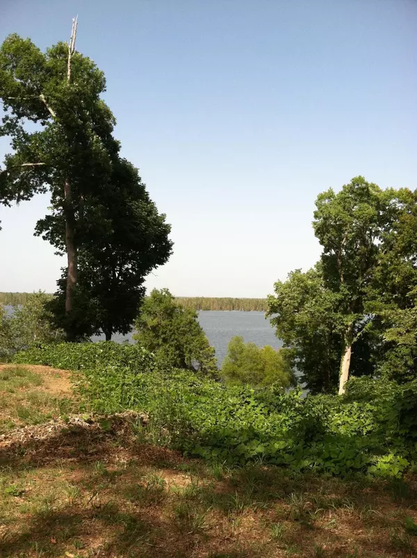 Elloree, SC 29047,0 Rosewood Ln