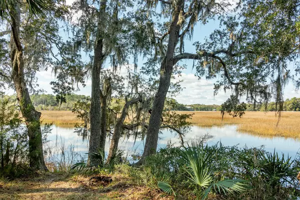 Edisto Island, SC 29438,8464 Chisolm Plantation Rd