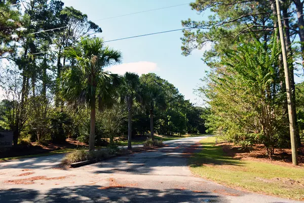 3 Blackbear Dr #Lot 3, Edisto Island, SC 29438