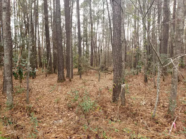 Summerville, SC 29483,0 Lazy Acres Loop