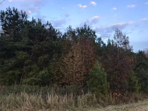 Saint Stephen, SC 29479,12 Shiver Farms Ln
