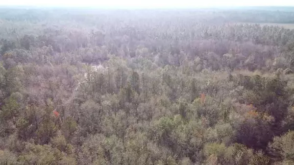 Harleyville, SC 29448,0 Mallard Lake Rd