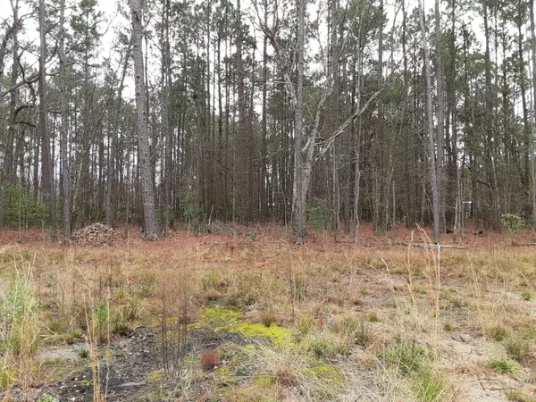 Summerville, SC 29483,00 Cheyenne Rd