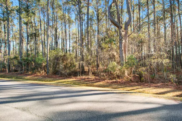 0 Sportsman Island Dr, Wando, SC 29492