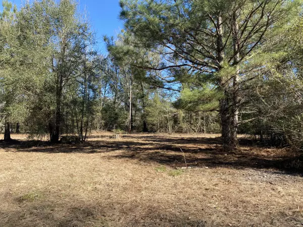 Smoaks, SC 29481,5366 Augusta Hwy